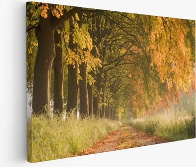 Saammp Muurcirkel Hout - Kleurrijke vlinder - Natuur - Dieren - Ø 90 - Wandcirkel - Wanddecoratie Cirkel - Muurdecoratie Woonkamer - Slaapkamer decoratie - Rond Schilderij