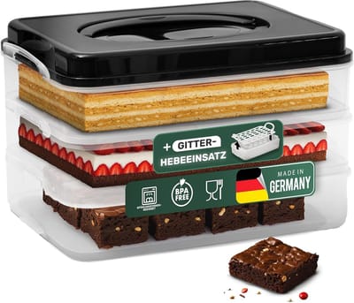 Novaliv taarttransportdoos met één niveau en deksel en inzetstuk (rechthoekig 40 x 30 cm) opbergdoos met veiligheidsslot partybox container taarttransportdoos taartcontainer