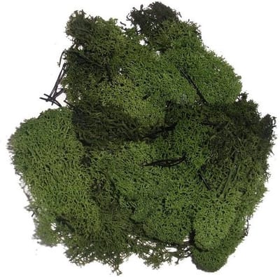 Decoratie nep mos 50 gram - 2x - groen - Hobby/knutselen - herfst/kerst thema - opvullen - decoreren - nature