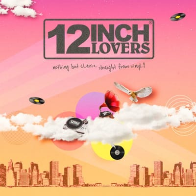 Various - 12 Inch Lovers 2