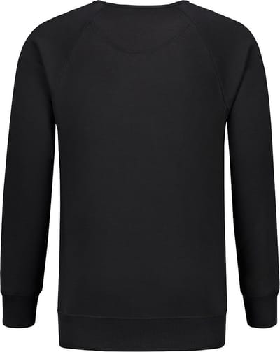 L&S Heavy Sweater Raglan Crewneck for him
