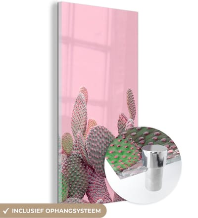 MuchoWow® Glasschilderij 20x40 cm - Schilderij acrylglas - Cactus - Planten - Zomer - Foto op glas - Schilderijen