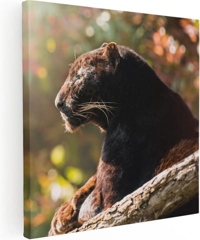 Artaza Canvas Schilderij Zwarte Panter - 90x90 cm - Wanddecoratie Dieren - Muurdecoratie Jungle - Schilderijen Op Canvas