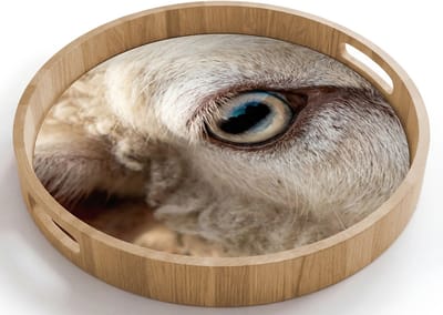 Dienblad rond 40x40 cm - Schootdienblad hout - Schaap - Oog - Wit - Borrelplank rechthoek - Plateau houten dienbladen