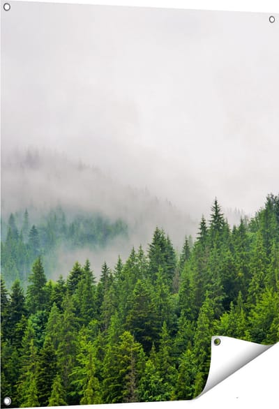 Gards Tuinposter Groen Bos met Bomen tijdens de Mist - 80x100 cm - Tuindoek - Tuindecoratie - Wanddecoratie buiten - Tuinschilderij