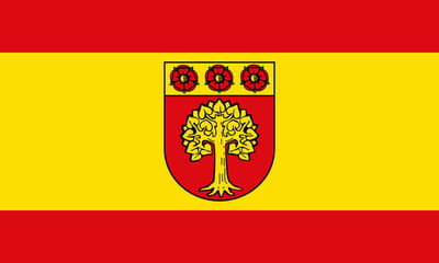 Vlag Selm 100x150cm