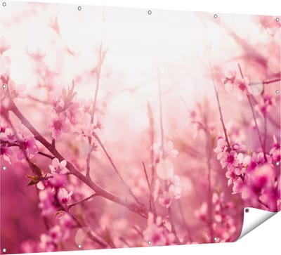 Gards Tuinposter Roze Bloesemboom met Zonneschijn - 160x120 cm - Tuindoek - Tuindecoratie - Wanddecoratie buiten - Tuinschilderij