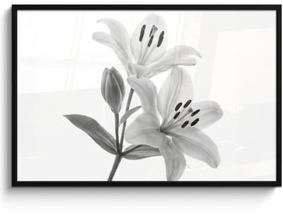 Poster in lijst - Fotolijst 120x80 cm - Posters - Lelies - Elegant - Zwart - Wit - Posterlijst zwart - Decoratie - Wanddecoratie woonkamer - Muurdecoratie slaapkamer