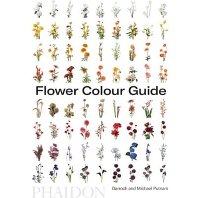 Flower Colour Guide - Taylor Putnam