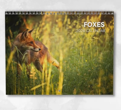 Wandkalender 2026 Maandkalender A4 Hangen met Ruimte voor Notities en Feestdagen