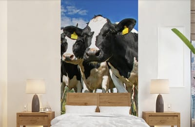 Behang - Fotobehang Koeien - Gras - Weiland - Dieren - Breedte 120 cm x hoogte 240 cm