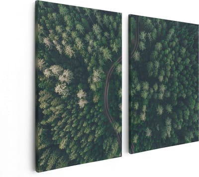Artaza Canvas Schilderij Tweeluik Weg Door Bos Met Bomen - Bovenaanzicht - 80x60 - Foto Op Canvas - Canvas Print