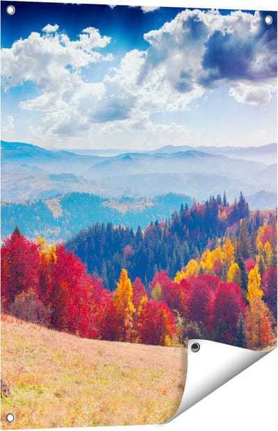 Gards Tuinposter Kleurrijke Herfstbos met Heuvellandschap - 60x80 cm - Tuindoek - Tuindecoratie - Wanddecoratie buiten - Tuinschilderij