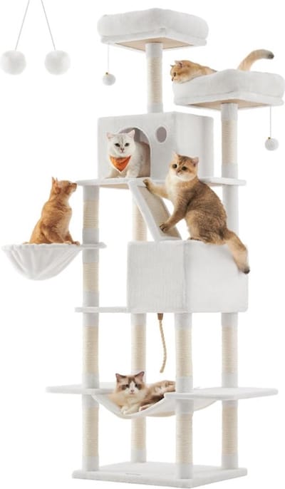 Krabpaal voor zware katten - Hoge krabpaal - Krabpaal boomstam - Krabpaal voor grote katten - Kat toren - Krabpaal plafond - Stevige krabpaal - Krabpaal voor katten - XXL - Katten verblijf
