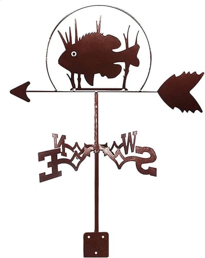 Weervaan Tandbaars - Wind Richting Indicator - Buiten Decoratie - Roestvrij Staal - 35x50 cm - Metaal