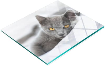 Gehard multifunctioneel decoratief bord van glas met grijze kat, 60x52 cm