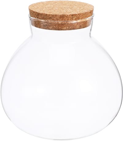Ronde glazen terrarium voor vetplanten met mosbal en kurken deksel - Perfect voor decoratie en cadeau