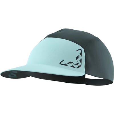 5-panel pet Dynafit Alpine