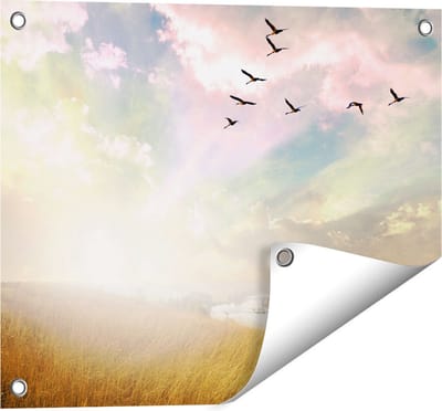 Gards Tuinposter Groep Vogels Vliegen Boven het Gras - 50x40 cm - Tuindoek - Tuindecoratie - Wanddecoratie buiten - Tuinschilderij