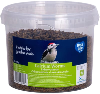 CJ Wildlife - 600g Gedroogde Calciumwormen - Tuinvogelvoer - Hoge Eiwitwaarde - Vrij van Zout en Toxines