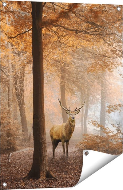 Gards Tuinposter Hert in het Bos - Herfst - 60x80 cm - Tuindoek - Tuindecoratie - Wanddecoratie buiten - Tuinschilderij