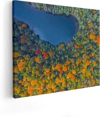 Artaza Canvas Schilderij Herfstbos - 100x80 cm - Groot - Wanddecoratie Landschap - Muurdecoratie Bos - Schilderijen Op Canvas Natuur