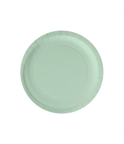 Wegwerpbordjes Pastel Groen 23cm - 8st - Feestjecreatief