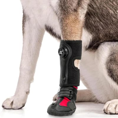 Valvoetsteun met rol voor honden, ademende hondenvoetsteun met antislipzool voor voetproblemen, artritis, zeer elastische sokken (L)