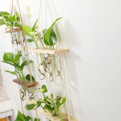 Wandhanger Propagatie Station Gelaagde Plantenhouder Bloempotten Wanddecoratie voor Huis Kantoor Type 1
