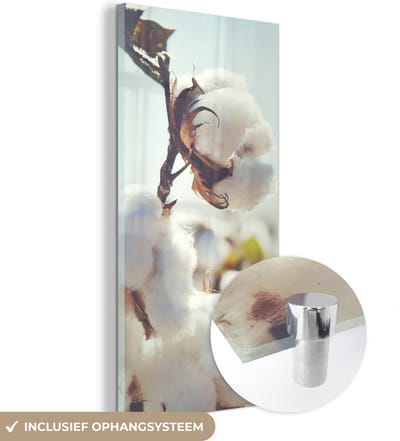 MuchoWow® Glasschilderij 20x40 cm - Schilderij acrylglas - Planten - Bloem - Tak - Natuur - Foto op glas - Schilderijen