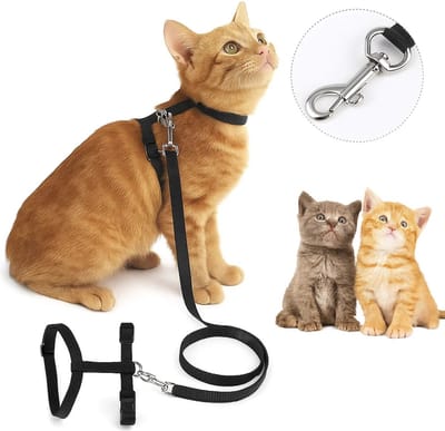 Kattentuigje Met Nylon Looplijn I Kittentuigje I Kitten Tuig I Verstelbeer I Kattenharnas I Dierentuigje I Zwart
