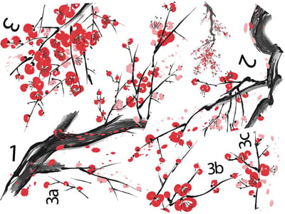 Muurstickers - Bloeiende boomtak in rood - Transparante achtergrond - 40x55cm