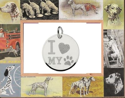 Hetty'S - Dog tag - van echt zilver - tekst I love my dog - met collier van 42 cm
