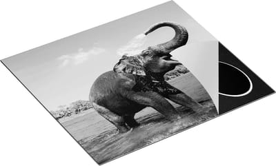 Chefcare Inductie Beschermer Vrolijke Olifant in het Water - Zwart Wit - 60x50 cm - Afdekplaat Inductie - Kookplaat Beschermer - Inductie Mat