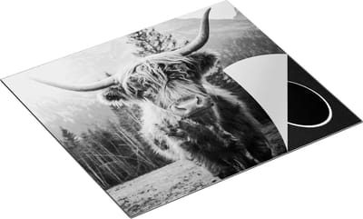 Chefcare Inductie Beschermer Schotse Hooglander Koe in de Bergen - Zwart Wit - 60x50 cm - Afdekplaat Inductie - Kookplaat Beschermer - Inductie Mat