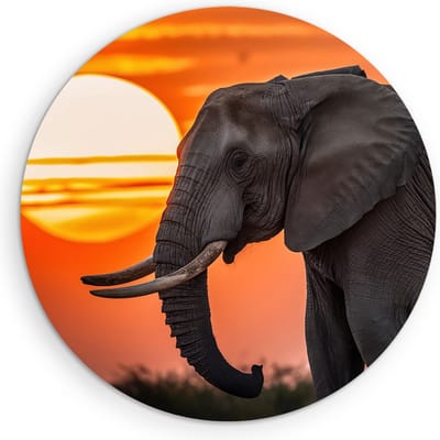 Saammp Muurcirkel Hout - Olifanten met afrikaanse zonsondergang - Dieren - Ø 90 - Wandcirkel - Wanddecoratie Cirkel - muurdecoratie Woonkamer - Slaapkamer decoratie - Rond Schilderij