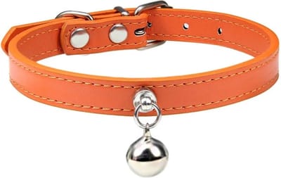 Kattenhalsband met Belletjes - Halsband voor Huisdieren - Oranje