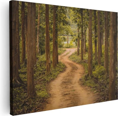 Artaza Canvas Schilderij Bospad - 40x30 cm - Klein - Wanddecoratie Natuur - Muurdecoratie Bomen - Kamer Accessoires Woonkamer