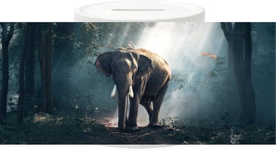 Spaarpot - Olifant