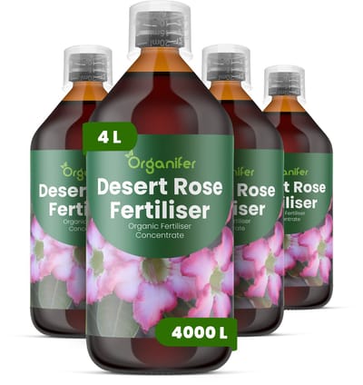 Vloeibare Meststof Voor Woestijnroos 4X1 L Voor 4000 L - Npk 2-1-8 - Sterke Caudexontwikkeling - Rijke Bloei - Levendige Bloemen - Sterk Wortelstelsel - Compacte Groei - Hittebestendig - Verhoogt De Tolerantie Voor Hitte - Organifer