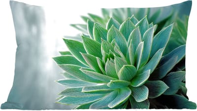 Sierkussens - Kussentjes Woonkamer - 60x40 cm - Vetplant - Bladeren - Groen - Wazig