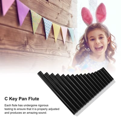 Dailygoods- Panfluit 16-Tonige C-toon - Muziekinstrumenten voor Kinderen - Muziekinstrumenten Volwassenen - Nylon Gevoerde Handtas - Budgetvriendelijk en Hoogwaardige Kwaliteit - Muziekinstrument