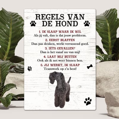 Spreuken - Kerry Blue Terriër - Regels Van De Hond - Spreuken Bordjes - Spreukenbord - Tekstborden - Cadeau - Hondenras