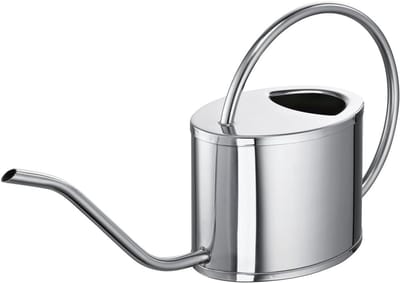 Roestvrijstalen Gieter Venetië 1,00 l - Perfect voor Tuin en Keuken