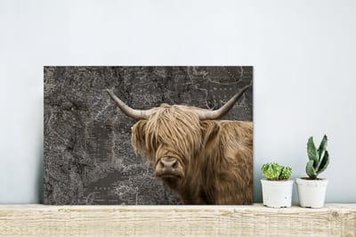 Aluminium schilderij 30x20 cm - Wanddecoratie metaal - Schotse hooglander - Wereldkaart - Koe - Metalen muurdecoratie woonkamer - Decoratie industrieel - Foto op dibond - Industriële accessoires slaapkamer