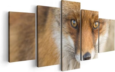 Artaza Canvas Schilderij Vijfluik Vossenkop met Bruine Ogen - Vos - 100x50 - Foto Op Canvas - Canvas Print