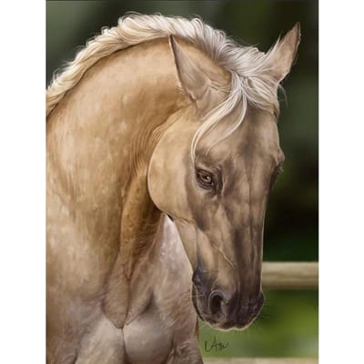 Paard Icoon 5D DIY Diamant Schilderij Paard Patroon 3D Diamant Kruissteek Dier Kristal Mozaïek 40X50CM