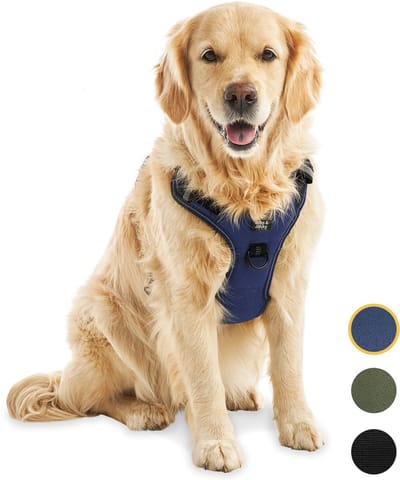 Jake and Jacky Hondentuigje - Anti-Trek Tuig - Hondenharnas - Y Tuig Hond - Reflecterend - Blauw - Maat XL