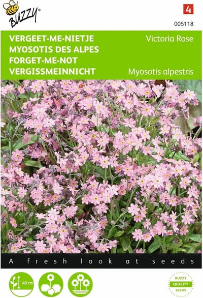 2 stuks - Buzzy - Myosotis alpestris Victoria Rose