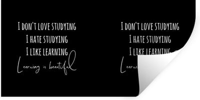 Muurstickers - Sticker Folie - Leren - Studeren - Student - Quotes - Studentenleven - 40x20 cm - Plakfolie - Muurstickers Kinderkamer - Zelfklevend Behang - Zelfklevend behangpapier - Stickerfolie
